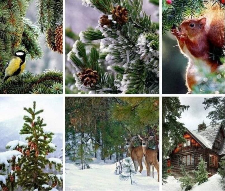 КУЛТУРА ВСЕКИ ДЕН Честит Ивановден!  